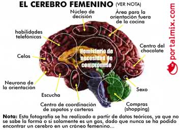 20060412180018-cerebrofe.jpg