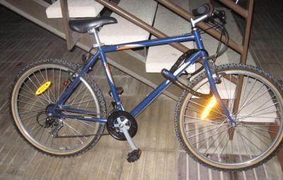 20081208211537-bici-002.jpg