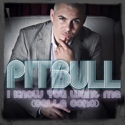 20091106114010-pitbull-i-know-you-want-me.jpg